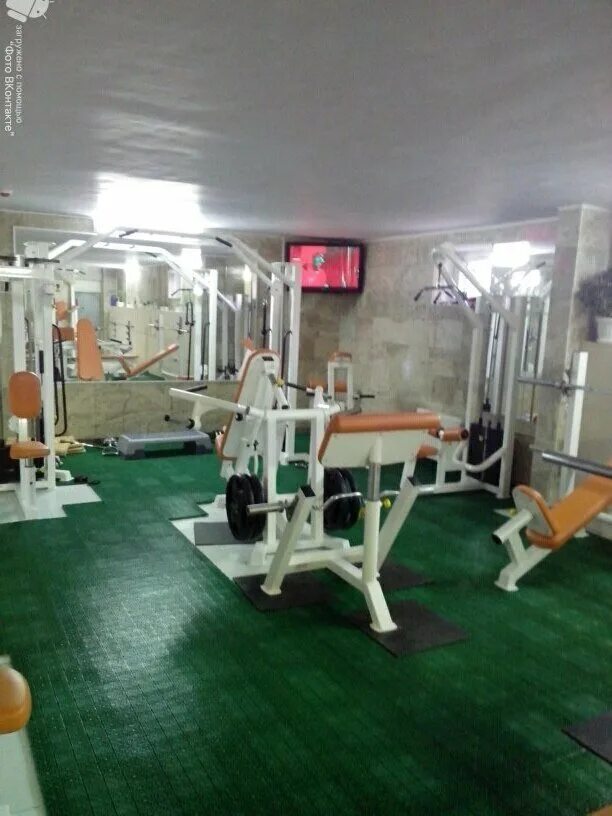 Медведь тренажерный зал дзержинск. Тренажерный зал медведь. Спортивный клуб медведь краснодар. Апшеронск медведь тренажерный зал. Тренажерный зал медведь.