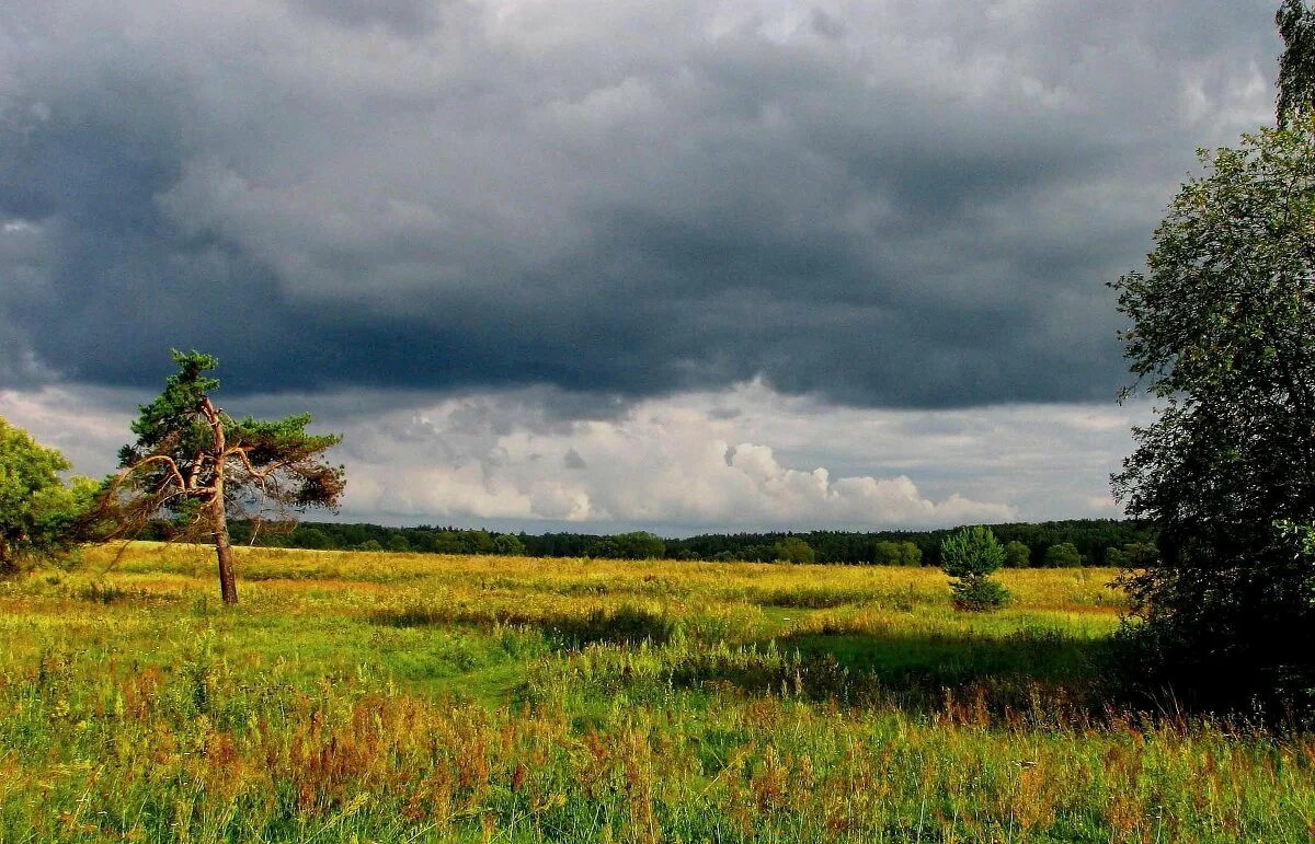 лес перед грозой. тучи перед дождем. гроза над озером. погода перед дождем. природа перед грозой.