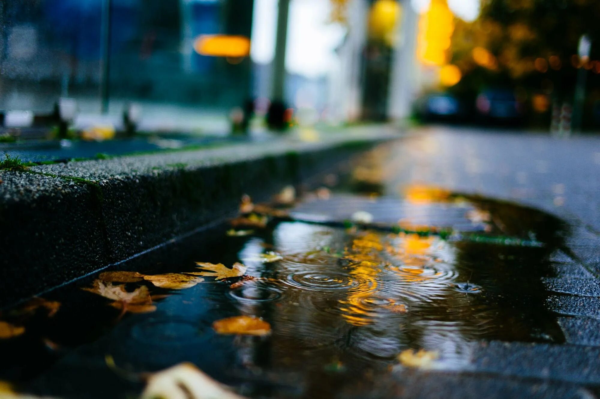 Осенний дождь в городе. Дождь лужи. "Дождливый вечер". Осень город дождь.