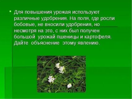 Повышает урожайность растений