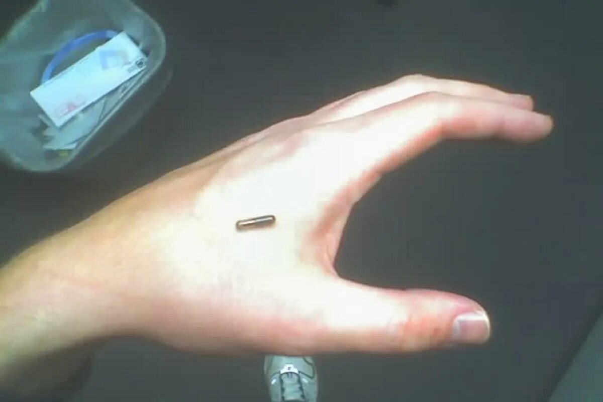Чипы под кожу животных. Чип радиочастотной идентификации для людей. rfid-метки — микрочипы.