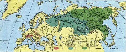 Лиственница даурская ареал