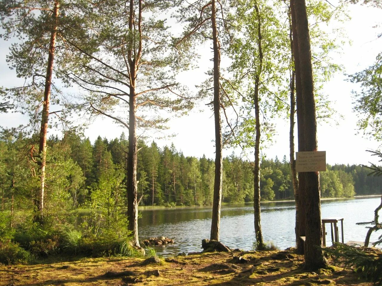 смешная форма озеро. тригорское озеро выборгский район. озеро смайлик во владимирской области. озеро веселое. озеро веселое.