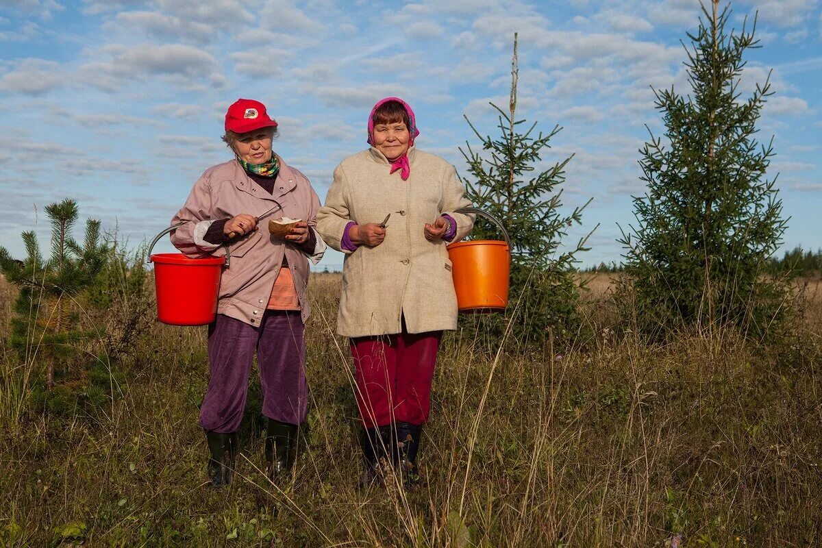 В каких сферах заняты жители сельской местности. Жители сельской местности. Сбор ягод. Женщина собирает ягоды. Грибы сельской местности.