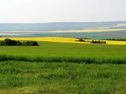 Равнина это