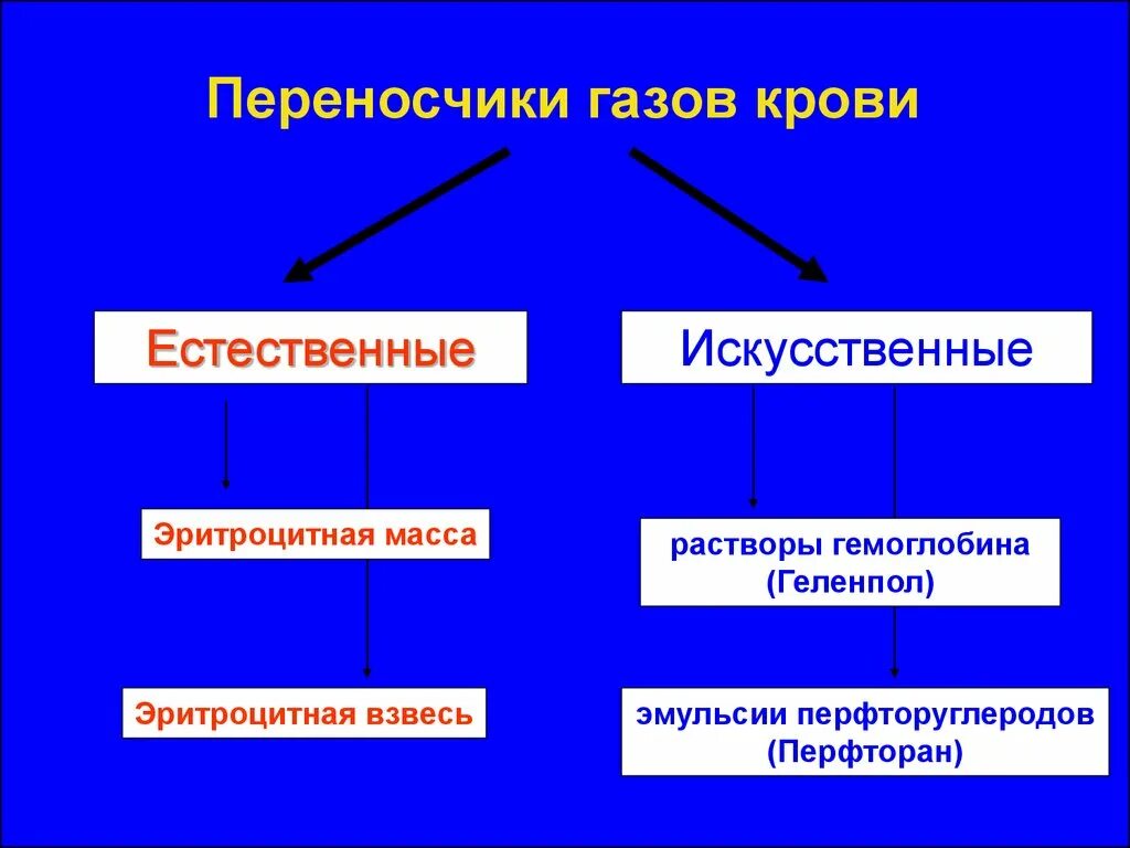 Переносчиками кислорода являются
