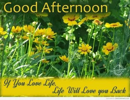 See you afternoon
