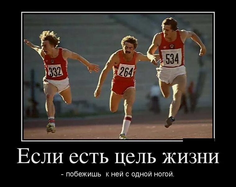 Шутки про цель. Цель юмор. Вижу цель иду к ней. Цель прикол. Смешные цитаты про ленивых.