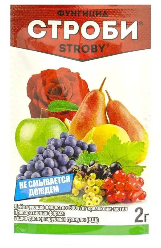 Строби форум. Строби 2гр. строби 2 г. строби вдг. стробитек фунгицид.