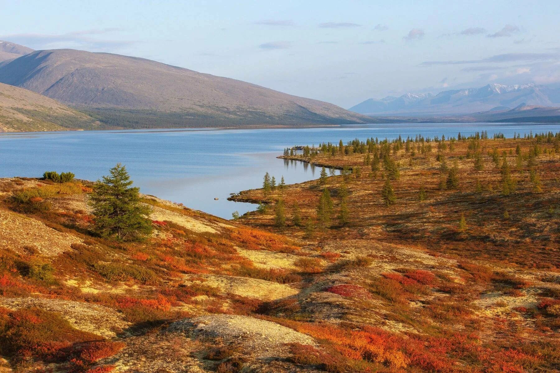 Тундра колыма. На колыме где тундра и тайга. Слушать на колыме где тундра. На колыме где тундра. Колыма магаданская область.