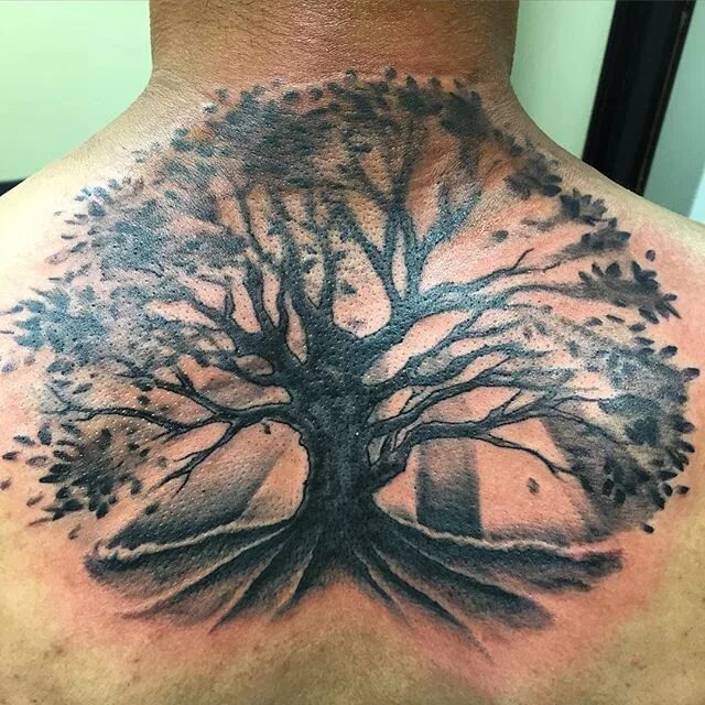 Ком дерево жизни. "Tree of Life" ("дерево жизни") by degree. Тату дерево. Тату дерево жизни. Тату дерево на спине.