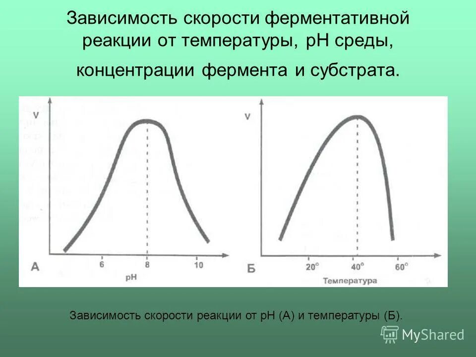 Зависимость скорости ферментативной реакции от рн среды. Зависимость скорости ферментативной реакции от рн среды. Зависимость реакции от реакции среды. Зависимость скорости ферментативной реакции от ph среды. Скорость реакции от температуры график.