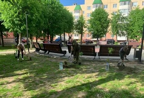 Текстильщики серпухов