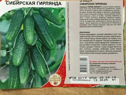 Сорт огурца альпака