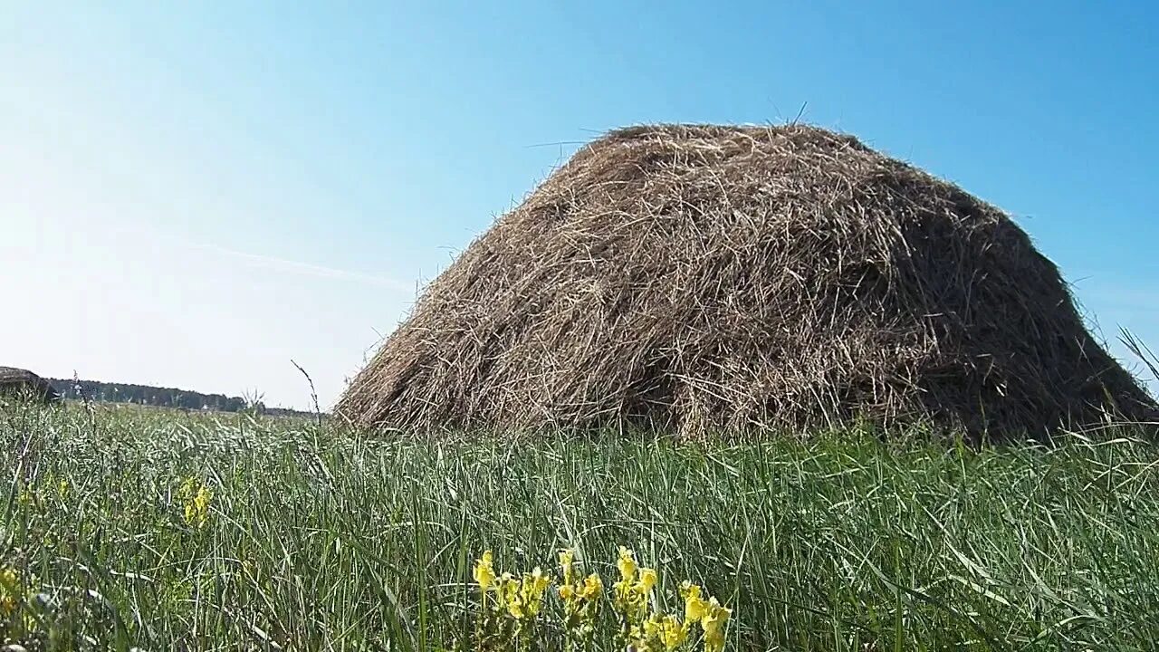 Калязин. Скирда. Стог.. Гора Скирда Крым. Ресторан сена стог Республика Алтай. Скирдование сена. Прелое сено газ