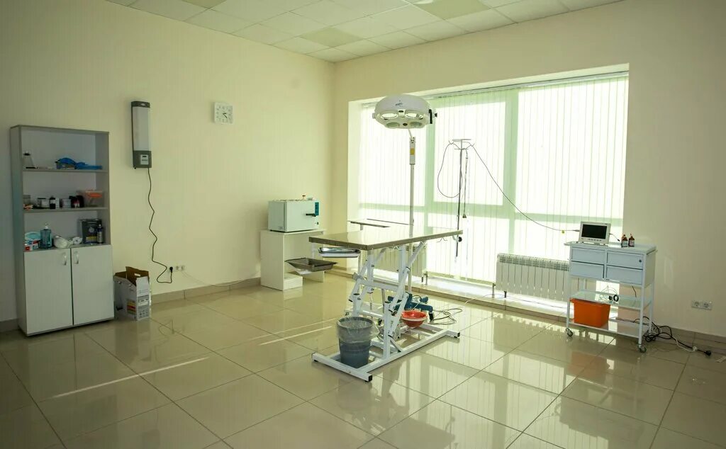 добровет псков ветеринарная. добровет ветеринарная клиника иркутск на омулевского. добровет ветеринарная клиника москва. калужская область обнинск железнодорожная улица 1а добровет. добровет сланцы ветеринарная клиника.