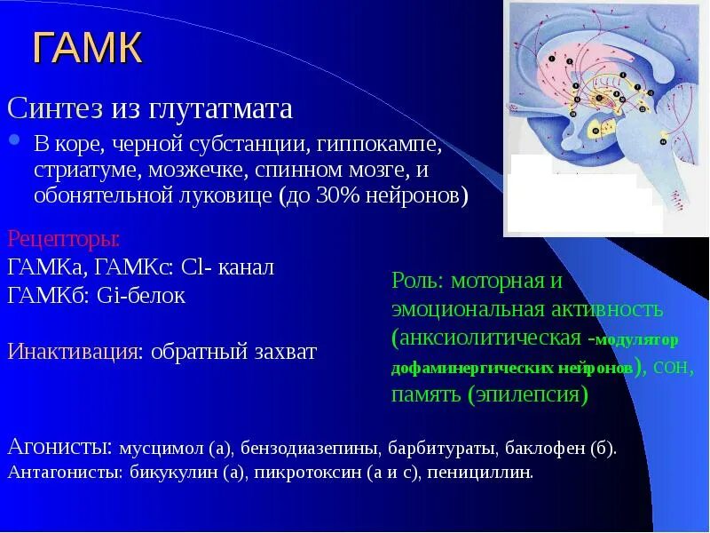 Гамк эффект. Гамк. гамк медиатор. гамк нейромедиатор функции. гамк система.