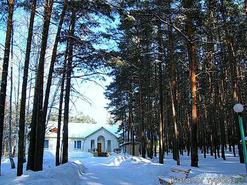 Каштакский бор. Лесопарк Каштакский Бор. Каштакский Бор Челябинск. Лесопарк Каштакский Бор Челябинск. Каштакский Бор Челябинск Соколиная гора.