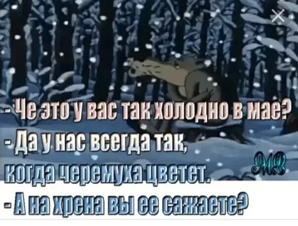 Холодно а нефиг было