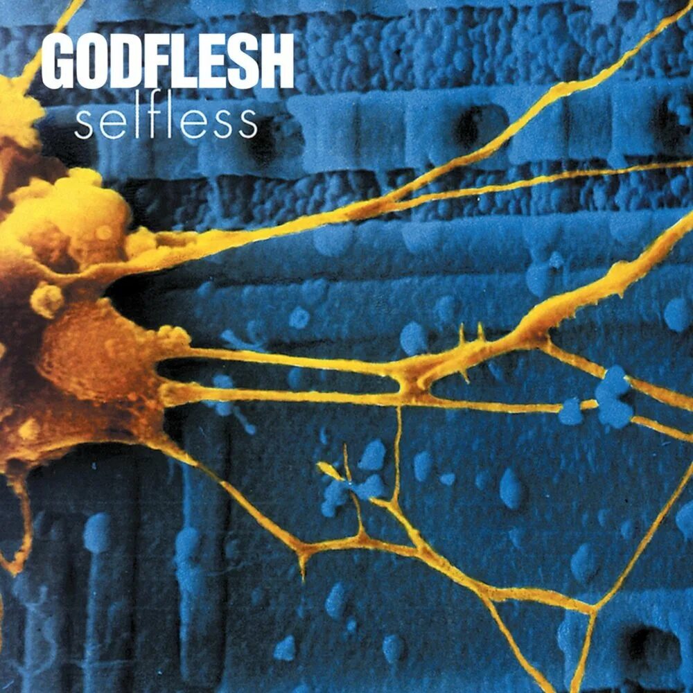 Godflesh. Godflesh группа. Godflesh selfless. 1994 - Selfless. Godflesh 1988.