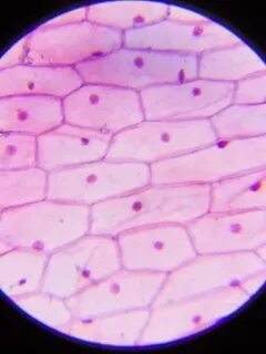 Ауруханадағы жыныстық бұзылу