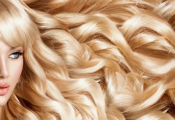 Светлые светлые локоны волос песня. Золотые волосы. Блонд. Золотистые волосы. Роскошные волосы блонд.