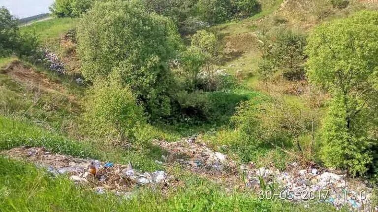 Пос погребы брасовского р-на брянской обл. Погода в погребах брянской. Станция погребы брянская область. Погода в погребах брянской. Деревня локоть брянская область.