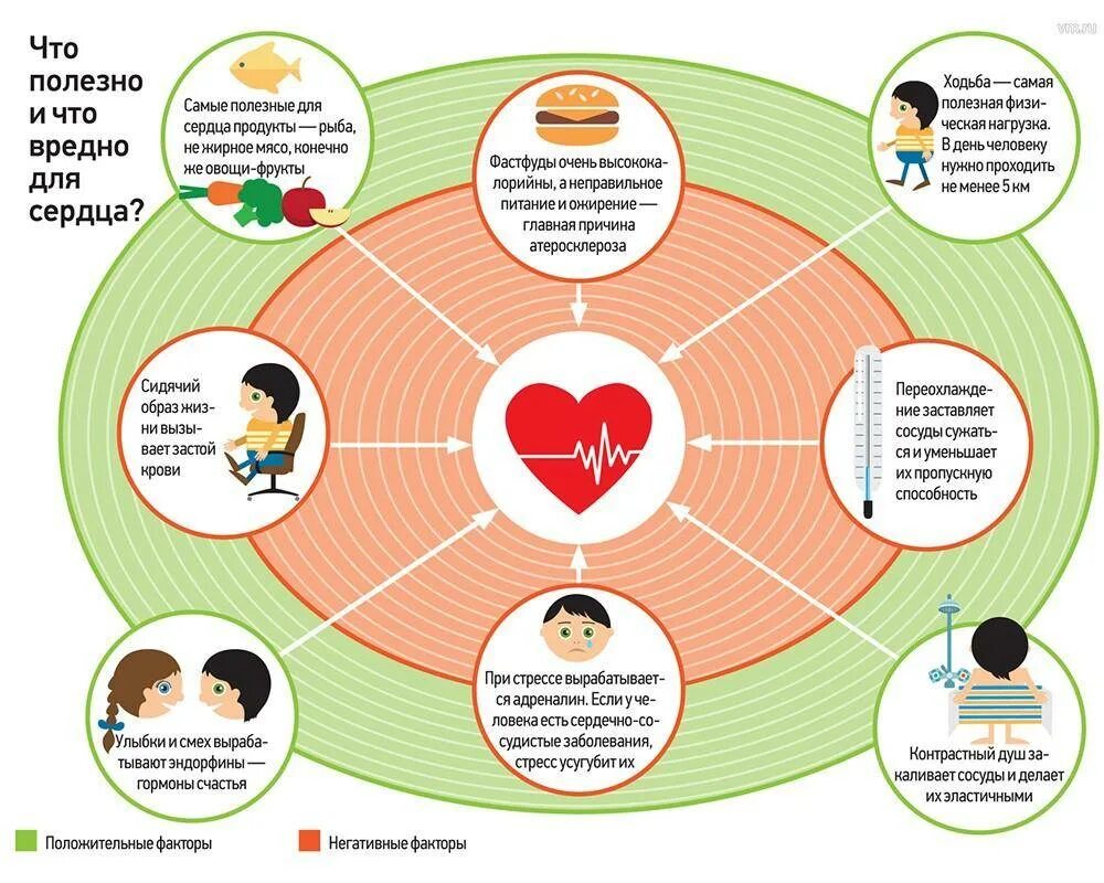 Питание при стрессе. Что полезно для сердца. Продукты полезные для сердца. Полезное и вредное для сердца. Полезные продукты для сердца и сердечно-сосудистой системы.