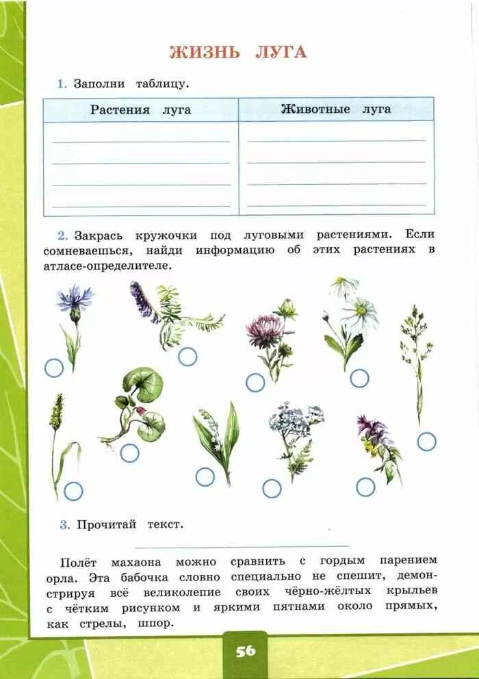 Рабочая тетрадь окружающий мир мир луга