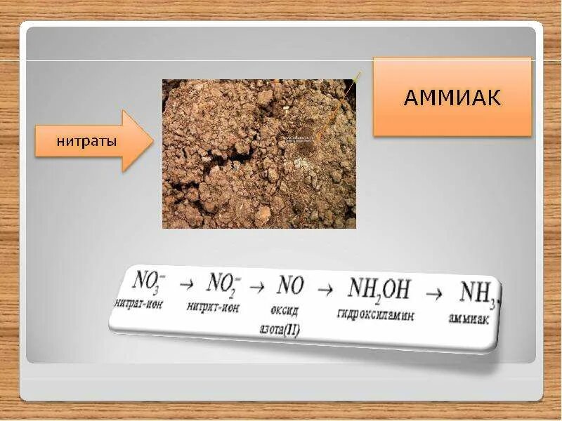 Аммиака нитритов нитратов