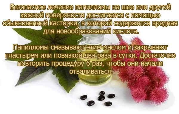 Касторовое масло от папиллом. Народные средства от папиллом на шее. Народное средство от папилломавируса человека. Касторовое масло от бородавок и папиллом.