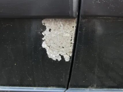 Скол покрытия