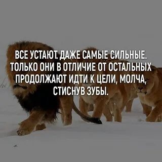 Губы дрожат я стиснув зубы промолчу