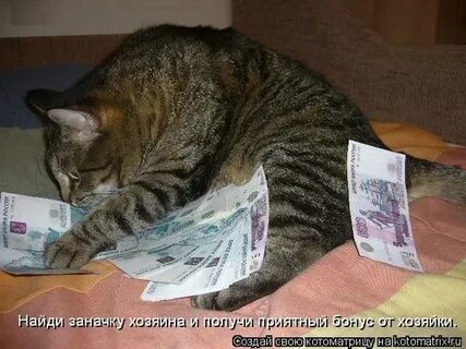 Деньги действительно говорят