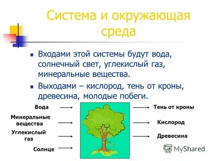 Наличие окружить