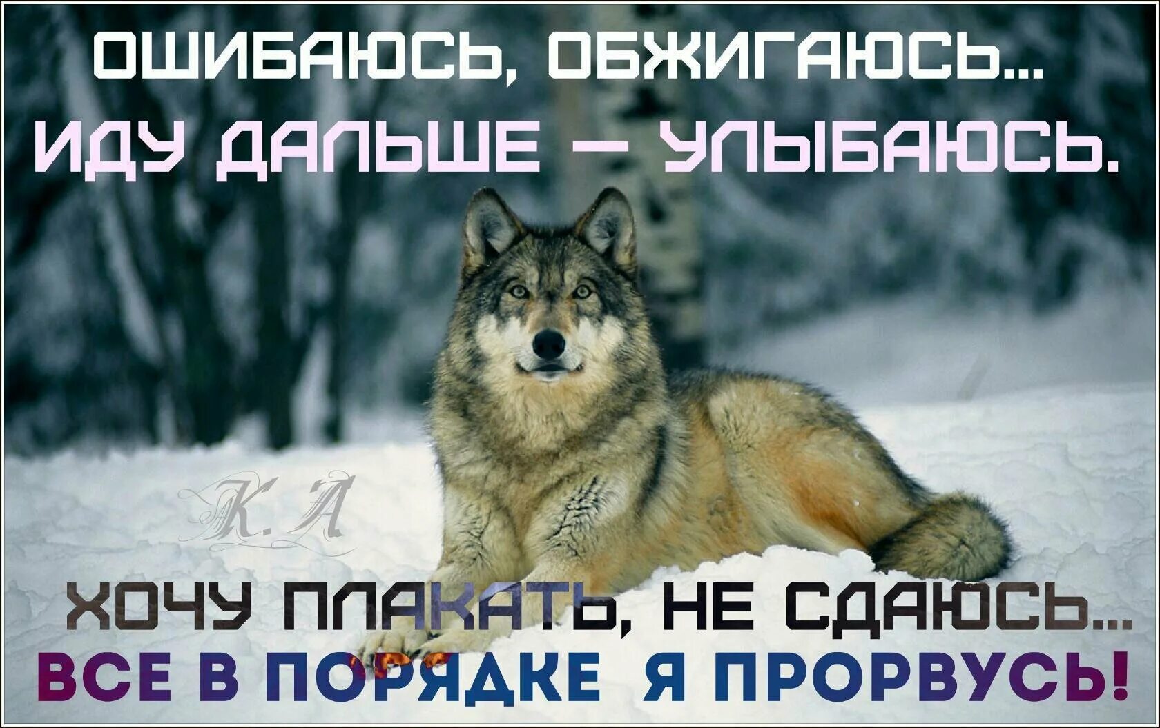 Что такое вскрылась. Открытки Прорвемся все будет хорошо. Прорвемся картинки смешные. Надпись Прорвемся. Ничего Прорвемся.