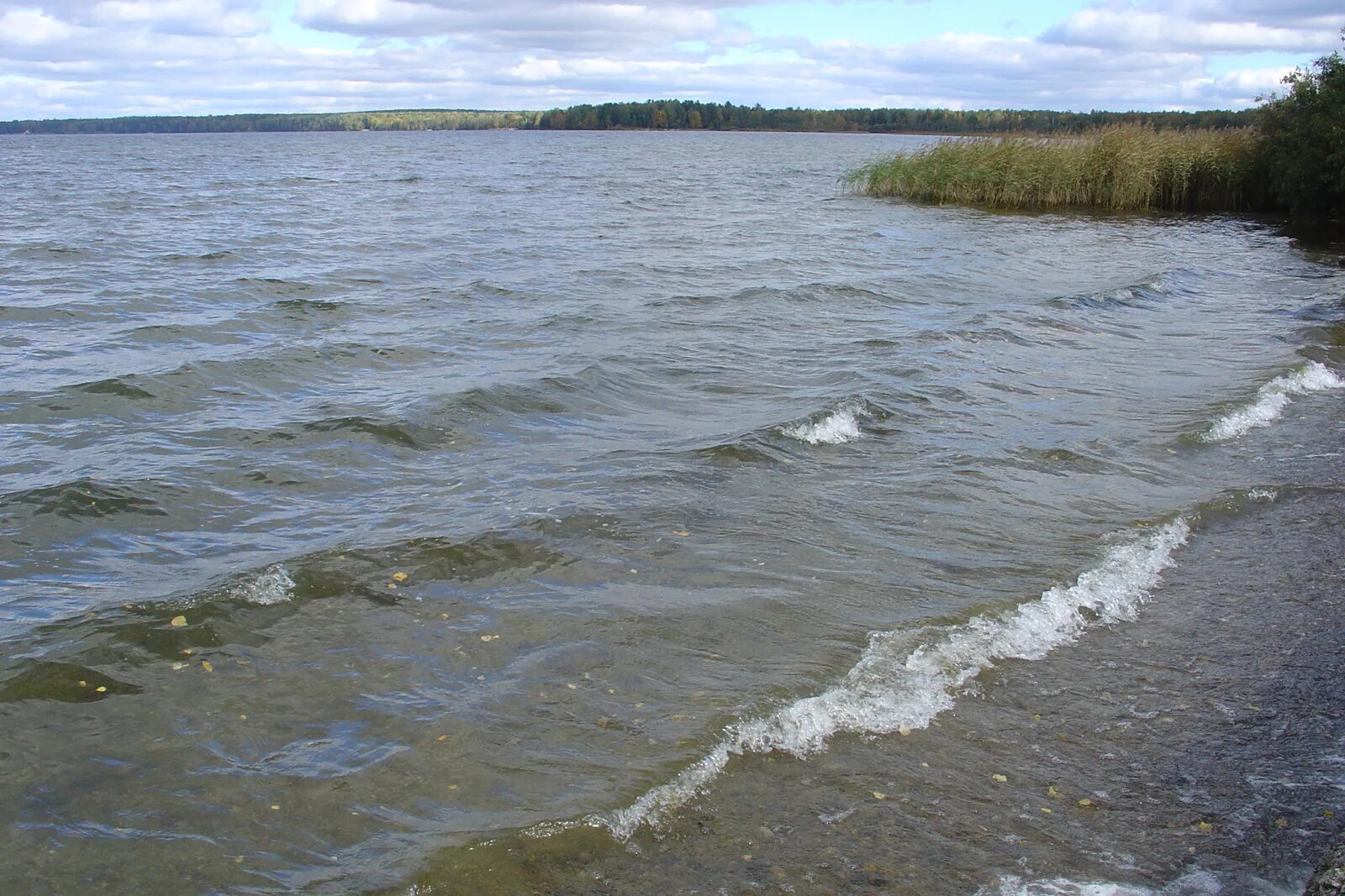 Сайт балтым. Озеро Балтым. Озеро Балтым Свердловская. Река Балтым. Река Балтым верхняя Пышма.