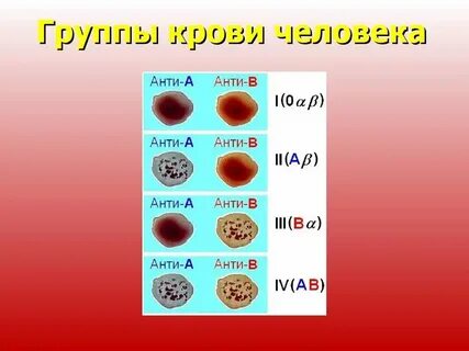Центр кро