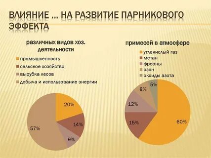Наибольшее влияние на деятельность
