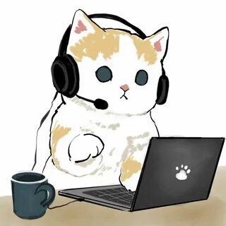 Вайб котиков