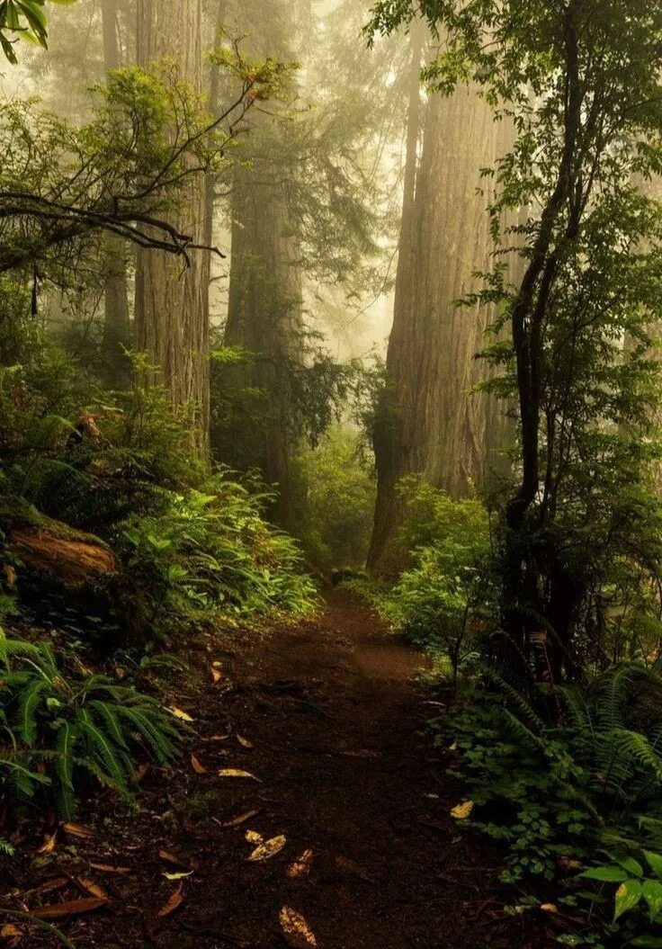 Величественные горы. This is nature. Power of nature. This is nature. Wild nature.