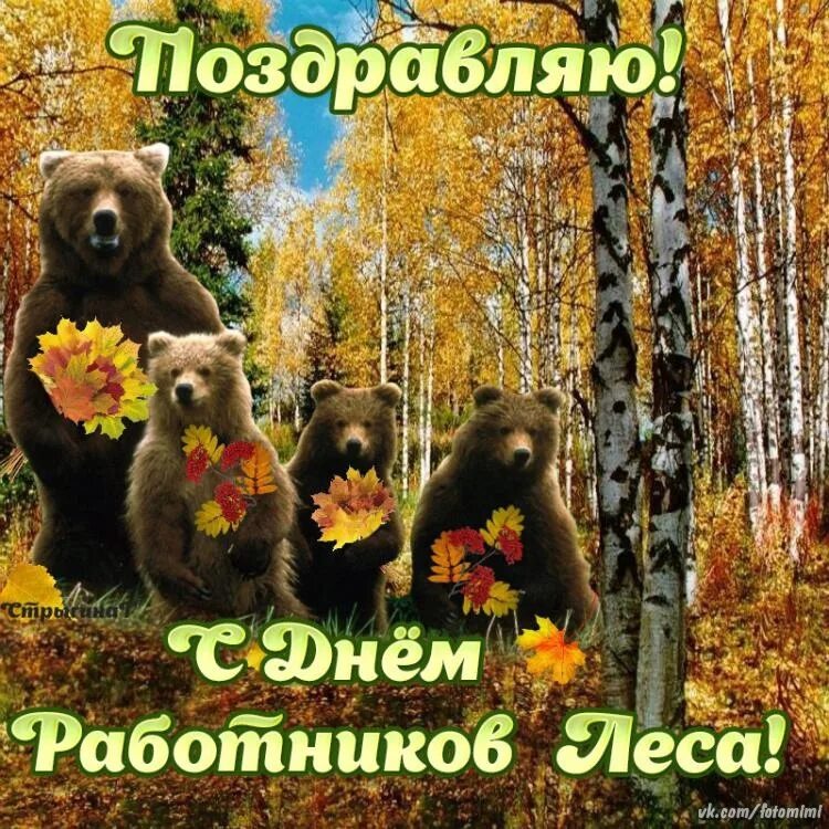 День работника леса. С днем работника леса. поздравление с днем работника леса. день работников леса открытки. с днем работника леса картинки.