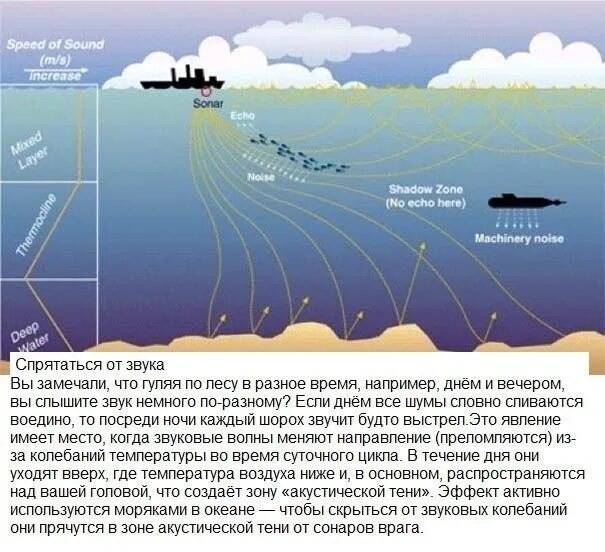 Теневая зона. Shadow wave. Эко пергола парковая. Теневая зона. Укромный уголок в саду.