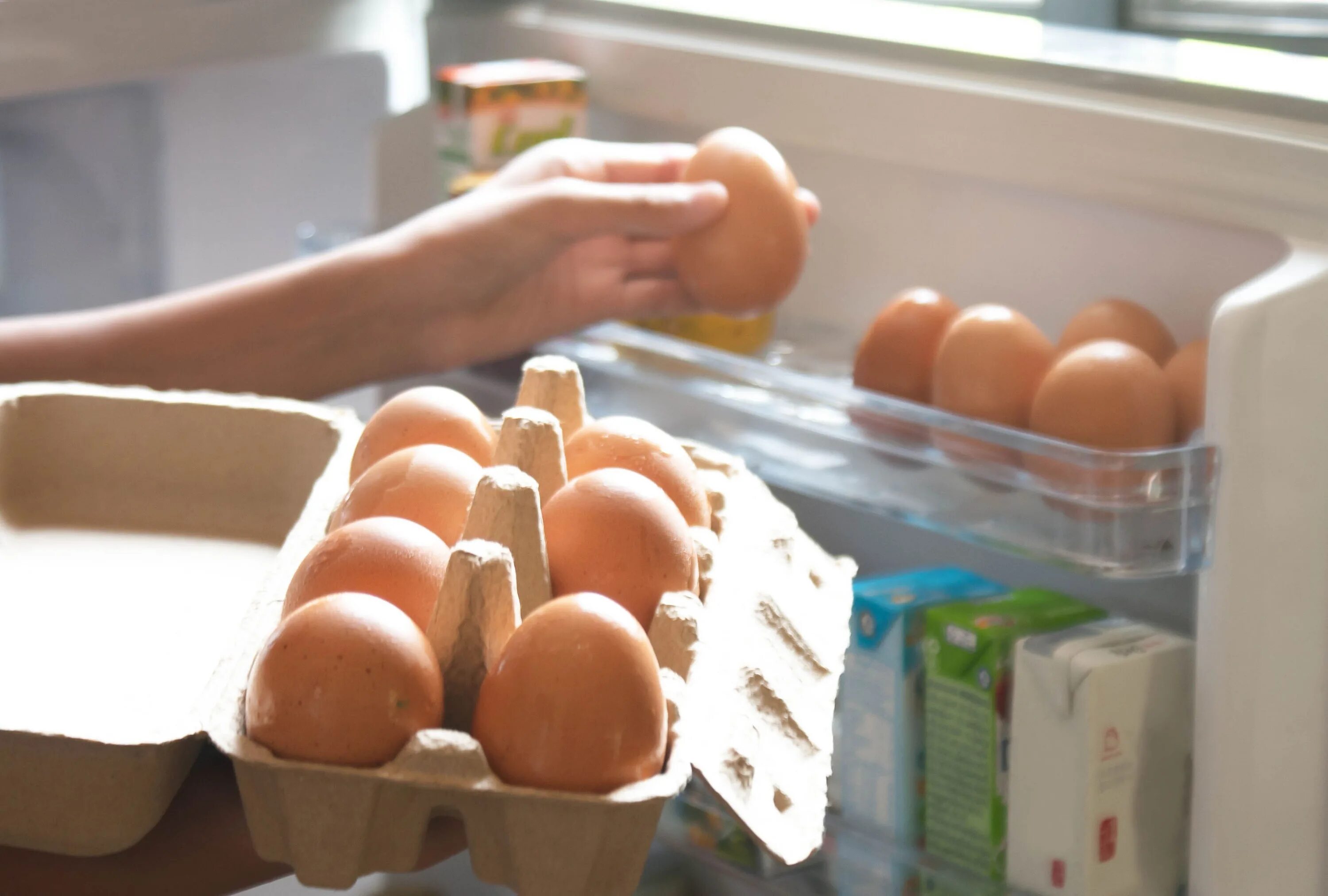 Яйца в холодильнике. Хранение яиц в холодильнике. Яйца на полке холодильника. Подставка для яиц в холодильник.