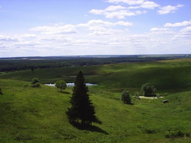Румянцево константиново. Нижегородская область село дальнее константиново. Румянцево константиново. Село берсеменово в дальнеконстантиновском районе. Румянцево константиново.