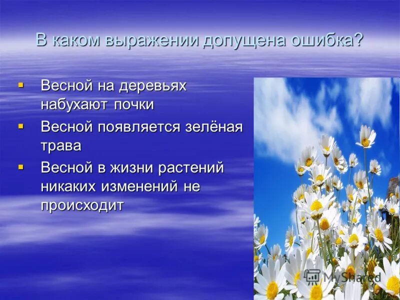 Сезонные изменения в жизни организмов лето. Весенние явления растений и животных. Изменения в жизни растений весной. Весенние явления в жизни растений.