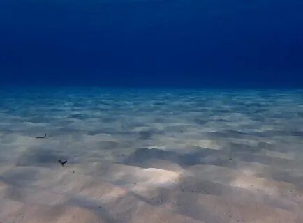 Белое море под водой