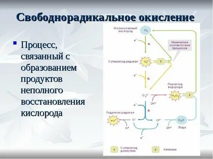Свободно радикальное