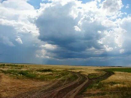 Степь дороги текст