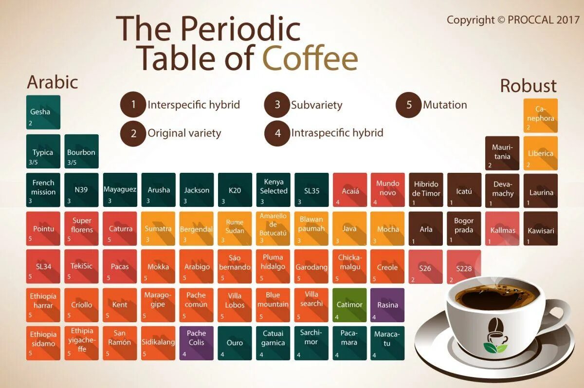 Состав арабики кофе. Виды кофе. Таблица кофейных напитков. Кофейные напитки названия. Название кофе в кофейнях.